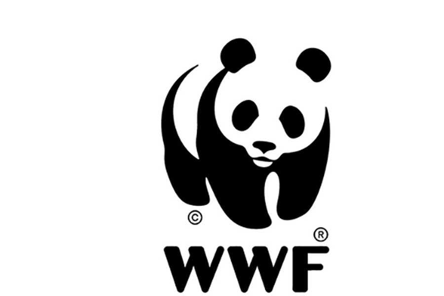 "Il divertimento può essere ecosostenibile" - Sostegno alla petizione del WWF Youth