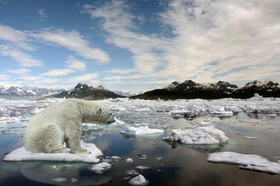 Interrogazione in vari comuni: come contrastare il cambiamento climatico?